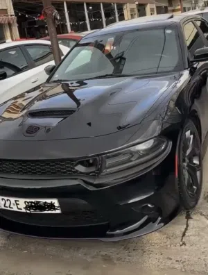 مطلوب دوج جارجر