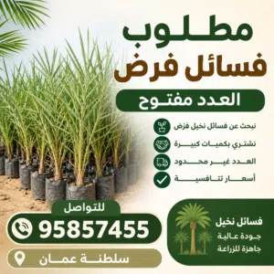 مطلوب شراء فسائل نخيل فرض