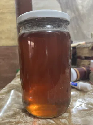 عسل جبلي فاخر من مراعي طبيعية – بدون إضافات أو سكر شامل التوصيل في عمان