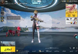 Pubg Accounts and Characters for Sale in Hafar Al Batin