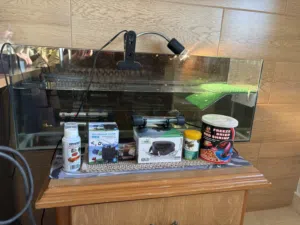 حوض سلاحف مائية مع كافة مستلزماته للبيع