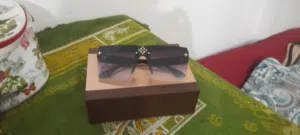 نضارات Louis Vuitton