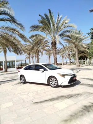 Used Toyota Corolla in Muscat