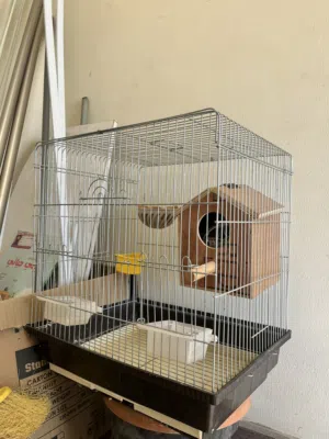 Bird cage with wooden bird house