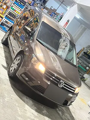 كادي-شصي-قصير