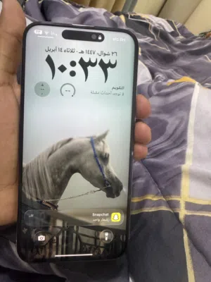 15برو ماكس 256 جيبي نضيف جدا جدا مبدل شاشه فقط اصليه بطاريه95%