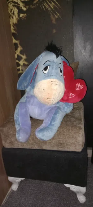 دب الحجم كبير