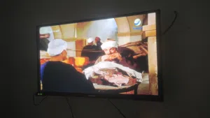 32 Other monitors for sale  in Beni Suef