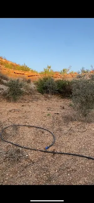 صناعية . 1000 م٢ . المالك4