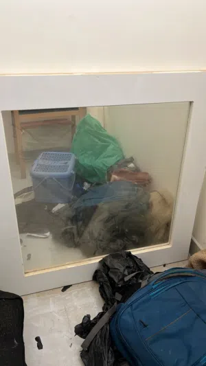 للبيع منضره راقيه بس تحتاج تنضيف سريع