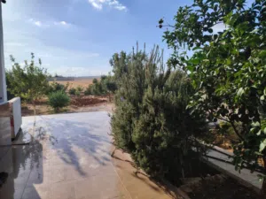 فرصة استثمارية نادرة - مزرعة مميزة للبيع في بلعما / طريق النمرة