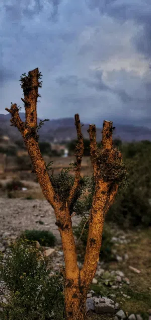 مصورة منتجات وتصوير فوتغراف