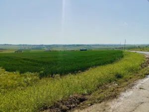 Mixed Use Land for Sale in Madaba Thiban