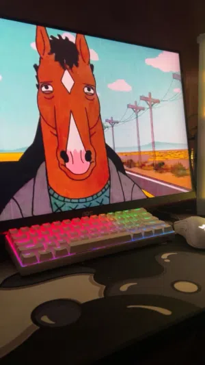 شاشة نظيييفه ولا خدش فيها