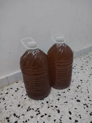 زيت زيوت مسلاته الاستلام بي مكينت الرومي معصور شهر الحالي