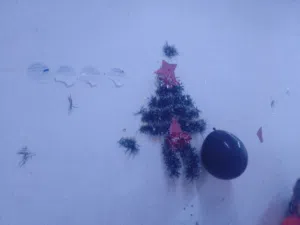 منتظر كريم لعيبي 