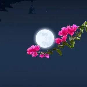 ام قصي 