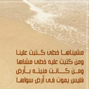 الديوانية الدولية