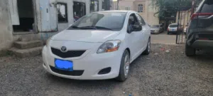 يارس بيضاء ويارس رصاصي سنتافى سوداء