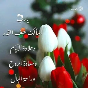 عامر علي الخداش