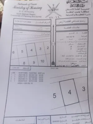 أرضين شبك بركا