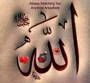 elsayed Mohmed
