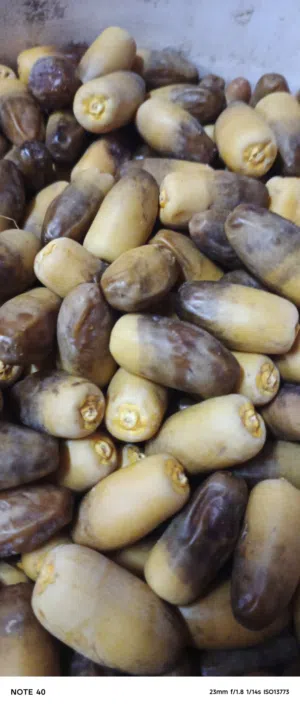 رطب نغال للبيع الكيلو 700 بيسة