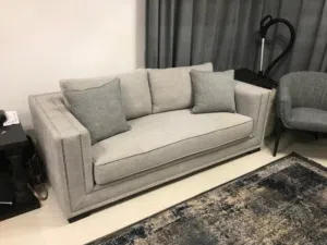 Modern sofa