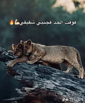 الحداد 