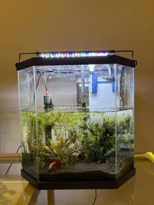 Fish tank with all inside
