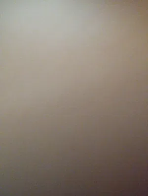 Semi Furnished . Monthly2