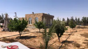 مزرعة سعيدة وجميلة