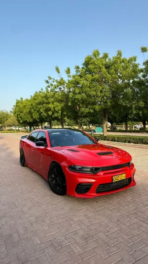 Used Dodge Charger in Muscat