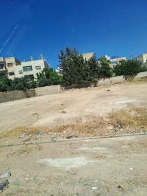 Residential Land for Sale in Amman Al Muqabalain