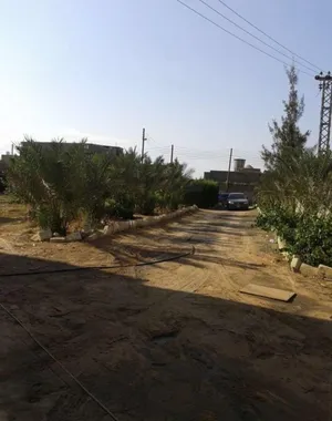 2فيلا عظم بالسراج على أرض 2600م ملك وبها شهادة عقاريه بواجهه 32م للبيع أو الاستبدال يفضل ابو نواس