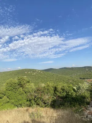 Mixed Use Land for Sale in Ajloun Other