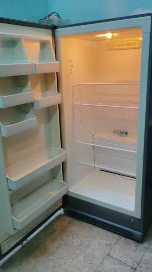 بيع ثلاجة خضار ومشروبات الكتروستار أمريكي 30 قدم استعمال خفيف معا التوصيل والكفاله