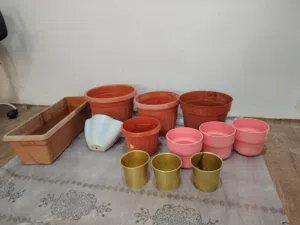 Plant Pots sale in Mangaf Block 4