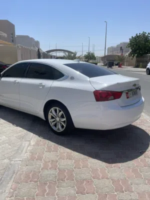 امبالا 2019