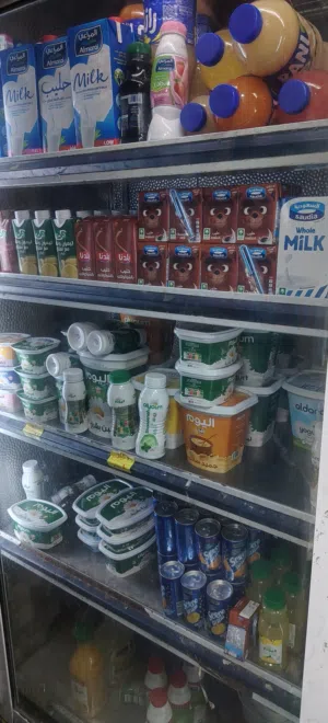ثلاجة ديلي بلعلبكي