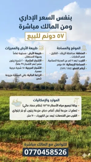 Farm Land for Sale in Zarqa Qasr al-Hallabat Al-Gharbi