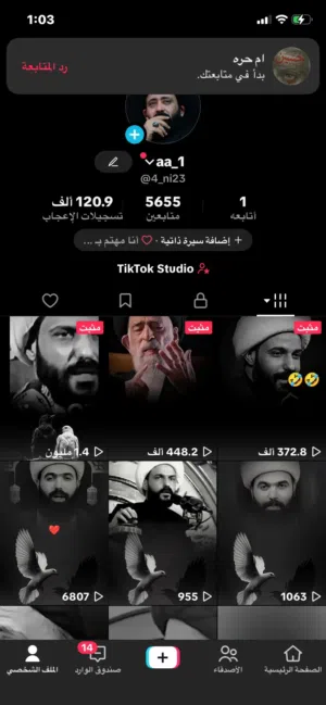 حساب تيكتوك مفول