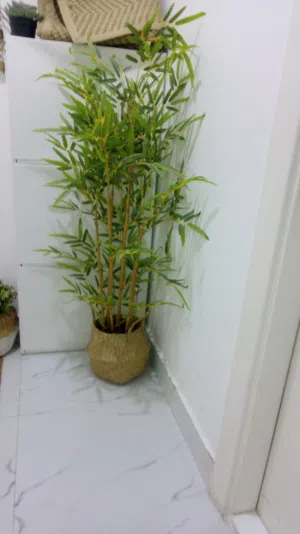 شجره بلاستيك مع السله