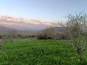 الاستخدام المتعدد . 950 م٢ . المالك0