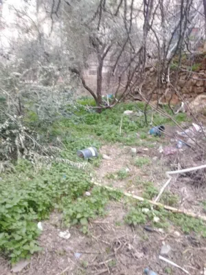 Residential Land for Sale in Amman Tabarboor