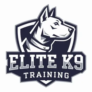 Training & Taming . Dog Training0