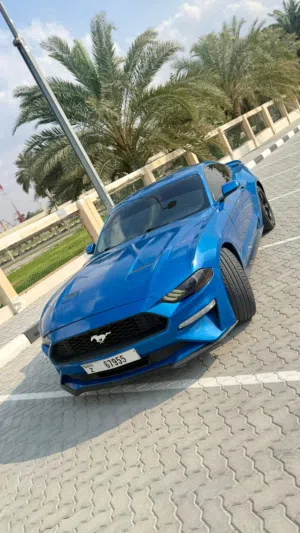 mustang 2020 ecoboost