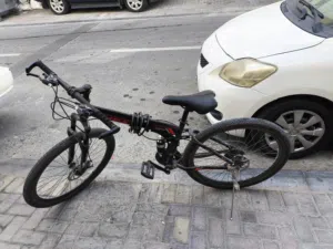 cycle/bicycle (FHSX)