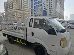 سیاره کیا بینگو