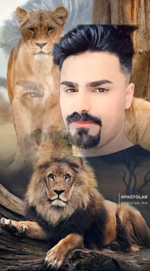 مهدي 